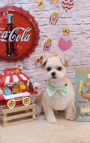 20230905だんごくん